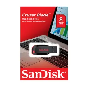 Sandisk 32GB Flash Disk